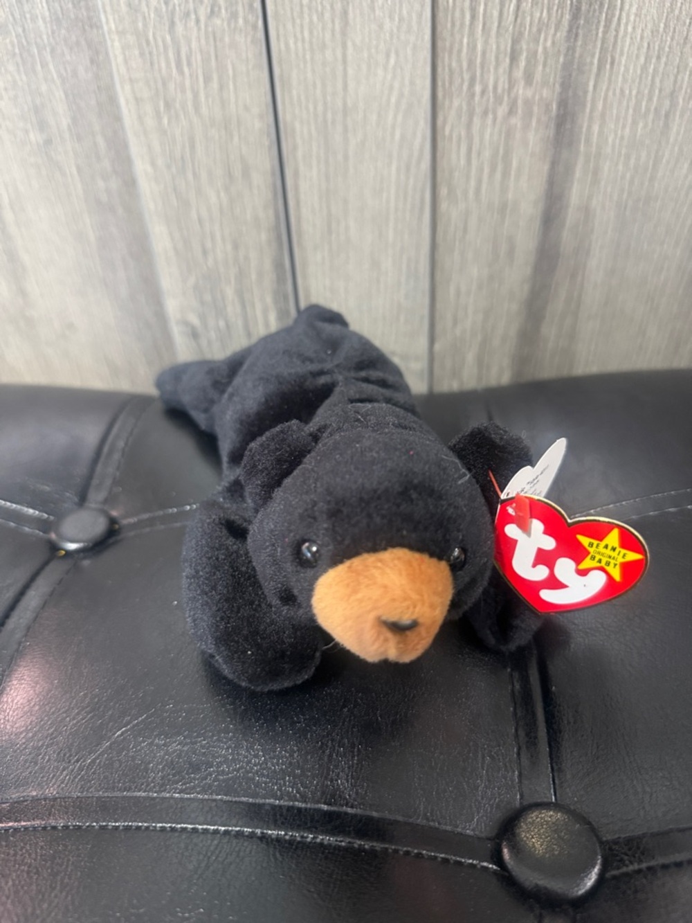Retired Blackie The Wild Bear Ty Beanie Babies Baby With Original Tag